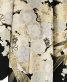 成人式振袖[絞り][キレイ系]黒に白・薄金の松竹梅[身長166cmまで]No.1105